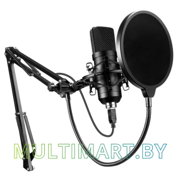Микрофон Oklick SM-700G